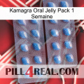 Kamagra Oral Jelly 1 Week Pack viagra4